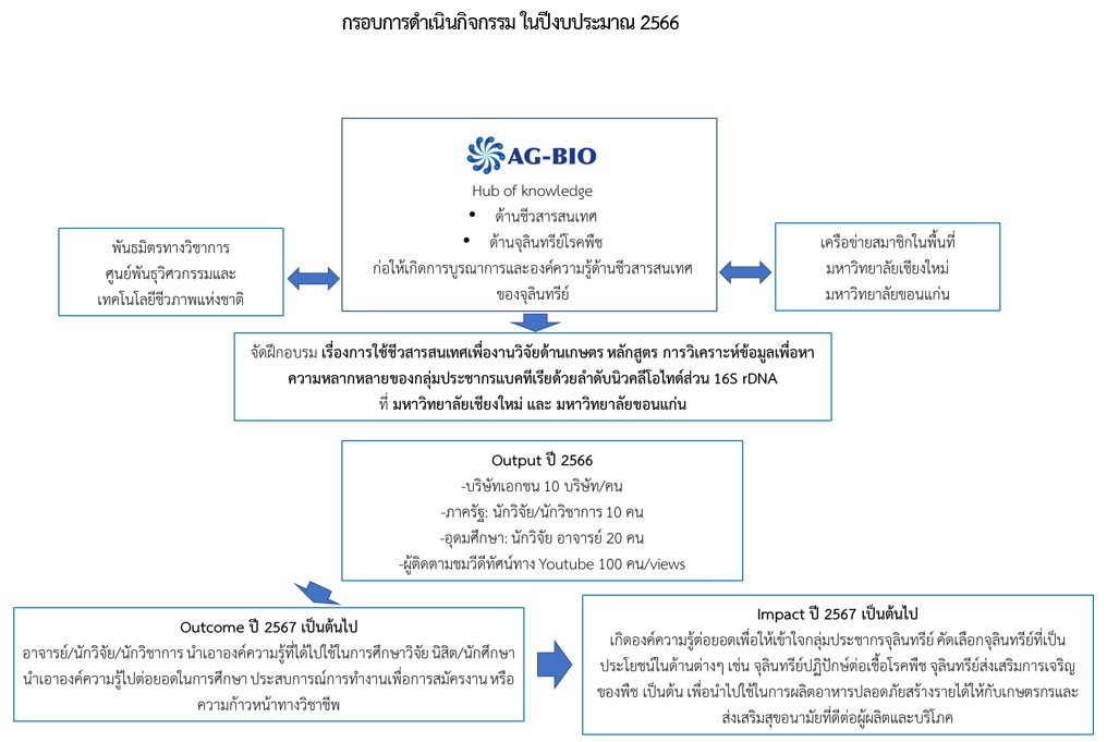 กรอบการดำเนินกิจกรรมต่าง ๆ